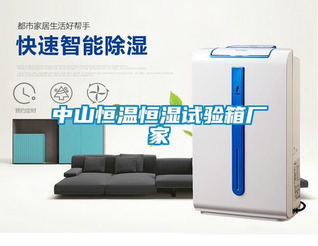 中山恒溫恒濕試驗(yàn)箱廠家