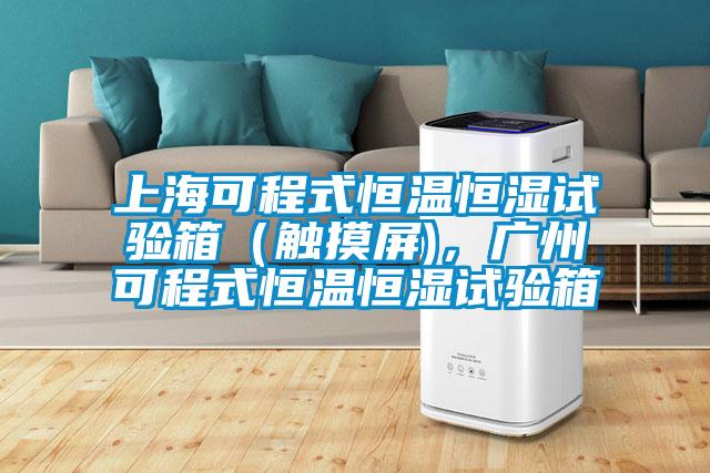 上海可程式恒溫恒濕試驗(yàn)箱（觸摸屏)，廣州可程式恒溫恒濕試驗(yàn)箱