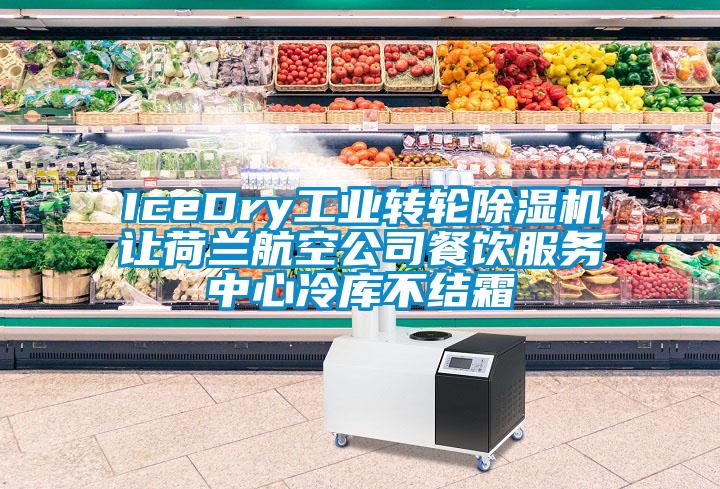 IceDry工業(yè)轉輪除濕機讓荷蘭航空公司餐飲服務中心冷庫不結霜