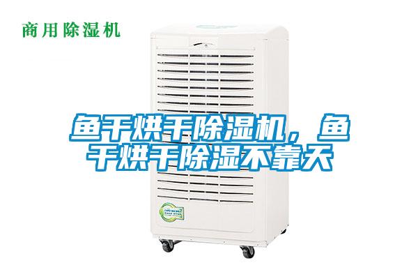 魚干烘干除濕機，魚干烘干除濕不靠天