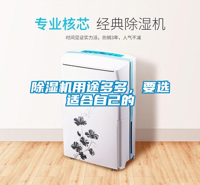 除濕機(jī)用途多多，要選適合自己的