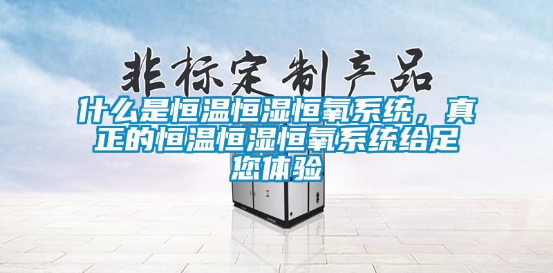 什么是恒溫恒濕恒氧系統，真正的恒溫恒濕恒氧系統給足您體驗