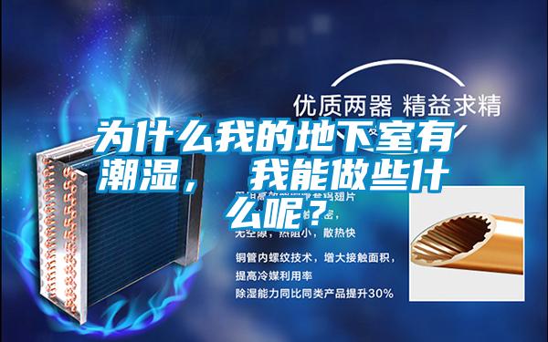 為什么我的地下室有潮濕， 我能做些什么呢？