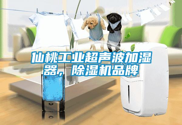 仙桃工業超聲波加濕器，除濕機品牌