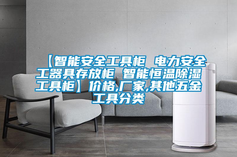 【智能安全工具柜 電力安全工器具存放柜 智能恒溫除濕工具柜】?jī)r(jià)格,廠家,其他五金工具分類