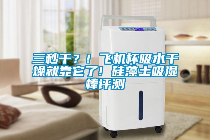 三秒干？! 飛機杯吸水干燥就靠它了! 硅藻土吸濕棒評測