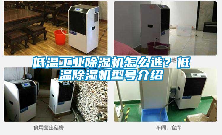 低溫工業(yè)除濕機(jī)怎么選？低溫除濕機(jī)型號介紹