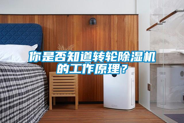 你是否知道轉輪除濕機的工作原理？