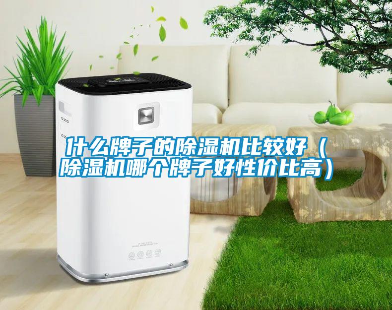 什么牌子的除濕機(jī)比較好（除濕機(jī)哪個(gè)牌子好性?xún)r(jià)比高）