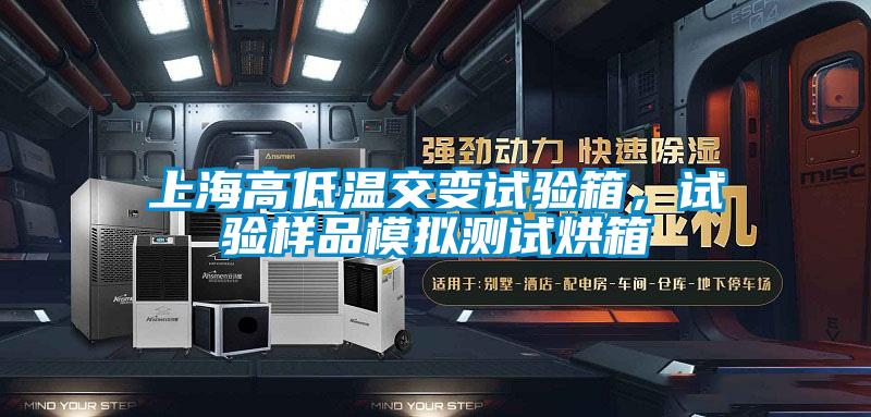 上海高低溫交變試驗箱，試驗樣品模擬測試烘箱