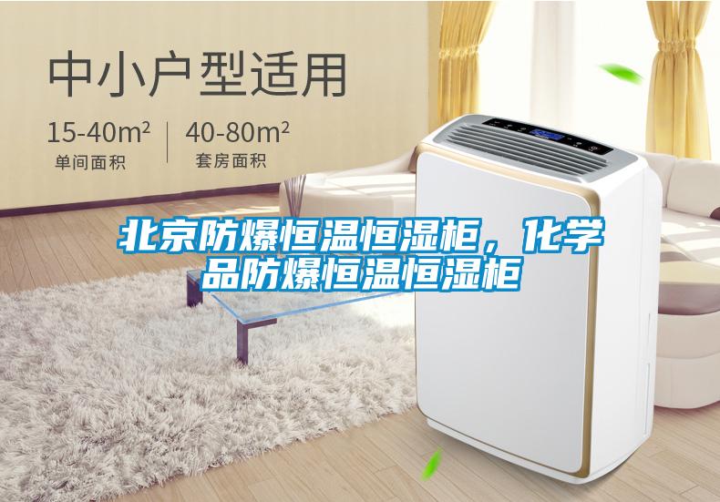 北京防爆恒溫恒濕柜，化學(xué)品防爆恒溫恒濕柜