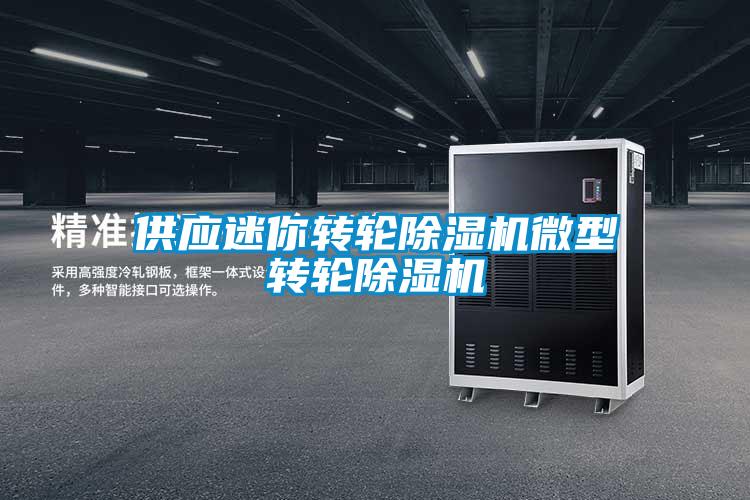 供應迷你轉(zhuǎn)輪除濕機微型轉(zhuǎn)輪除濕機