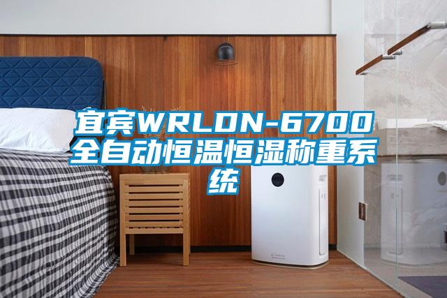 宜賓WRLDN-6700全自動(dòng)恒溫恒濕稱(chēng)重系統(tǒng)