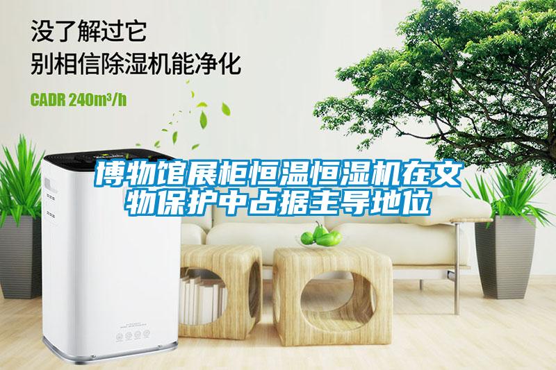 博物館展柜恒溫恒濕機在文物保護中占據(jù)主導(dǎo)地位