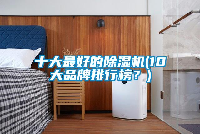 十大最好的除濕機(jī)(10大品牌排行榜？)