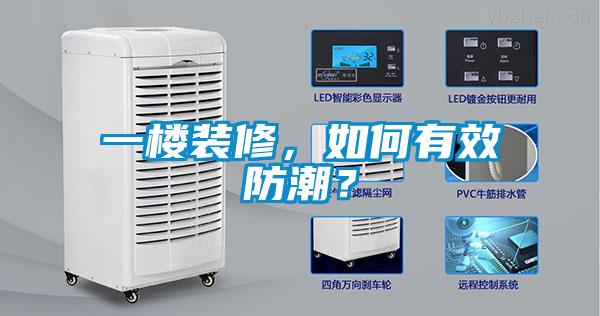 一樓裝修，如何有效防潮？