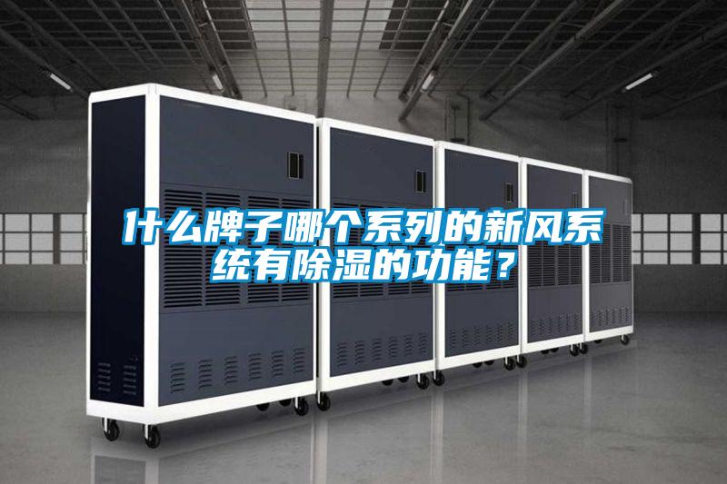 什么牌子哪個系列的新風系統有除濕的功能？