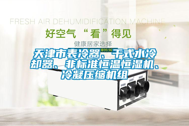 天津市表冷器、干式水冷卻器、非標(biāo)準(zhǔn)恒溫恒濕機(jī)、冷凝壓縮機(jī)組