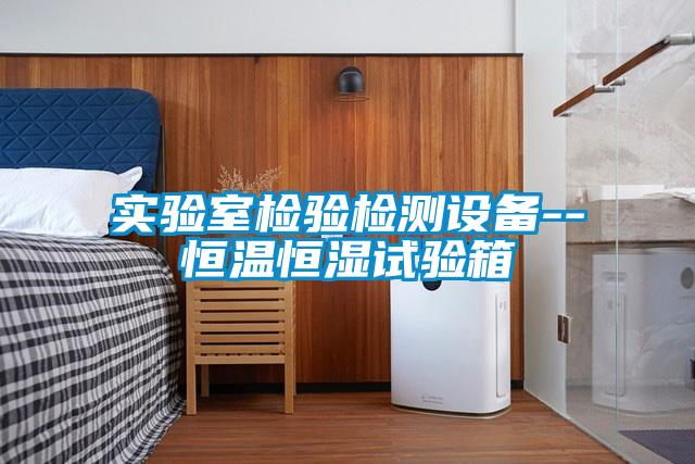 實(shí)驗(yàn)室檢驗(yàn)檢測設(shè)備--恒溫恒濕試驗(yàn)箱