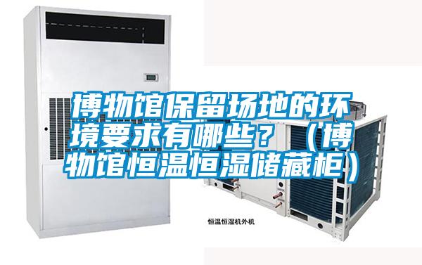 博物館保留場(chǎng)地的環(huán)境要求有哪些？（博物館恒溫恒濕儲(chǔ)藏柜）