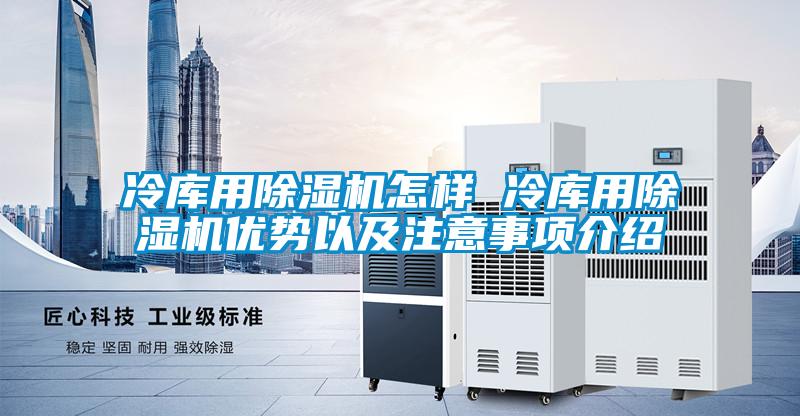 冷庫用除濕機(jī)怎樣 冷庫用除濕機(jī)優(yōu)勢以及注意事項(xiàng)介紹