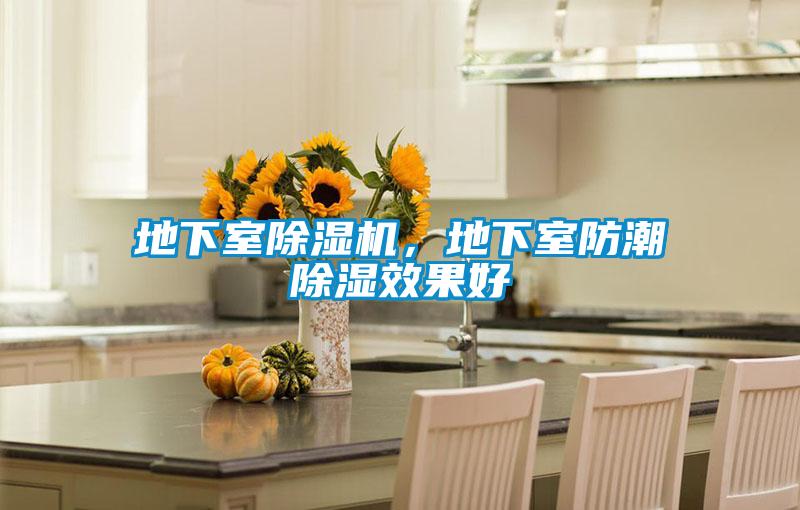 地下室除濕機，地下室防潮除濕效果好