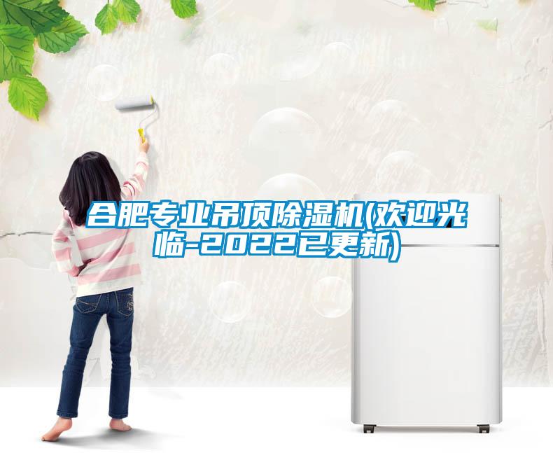 合肥專業(yè)吊頂除濕機(jī)(歡迎光臨-2022已更新)