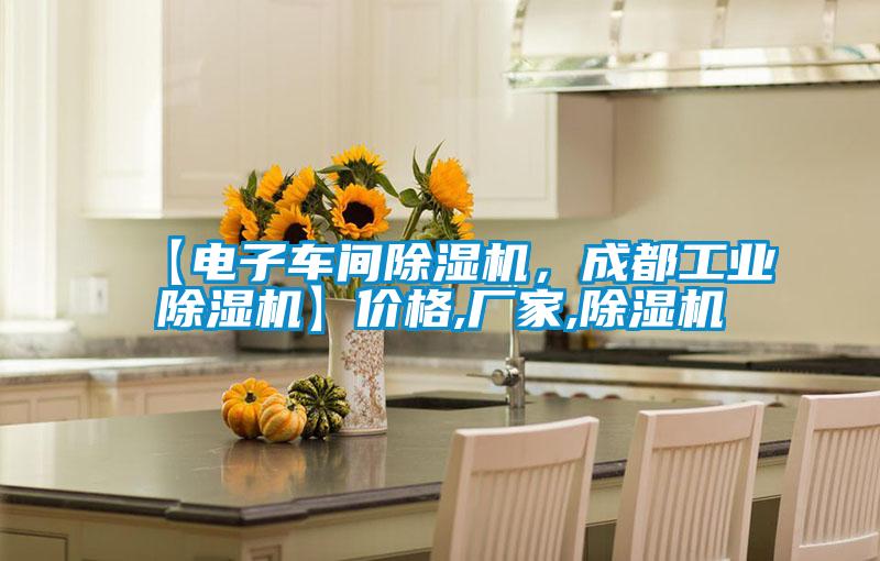 【電子車(chē)間除濕機(jī)，成都工業(yè)除濕機(jī)】?jī)r(jià)格,廠(chǎng)家,除濕機(jī)