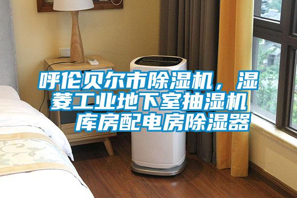 呼倫貝爾市除濕機(jī)，濕菱工業(yè)地下室抽濕機(jī)  庫(kù)房配電房除濕器
