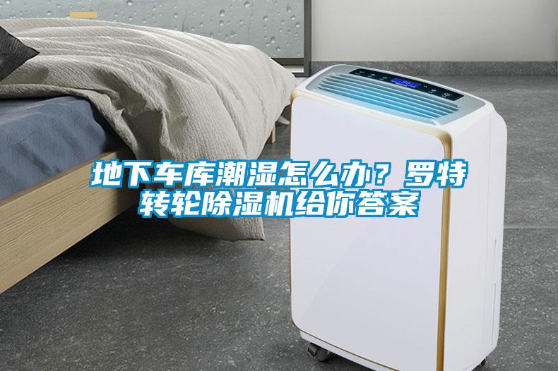 地下車庫潮濕怎么辦？羅特轉(zhuǎn)輪除濕機(jī)給你答案