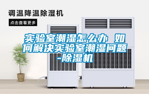 實(shí)驗(yàn)室潮濕怎么辦 如何解決實(shí)驗(yàn)室潮濕問(wèn)題-除濕機(jī)