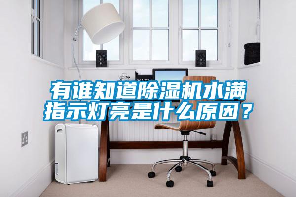 有誰知道除濕機水滿指示燈亮是什么原因？