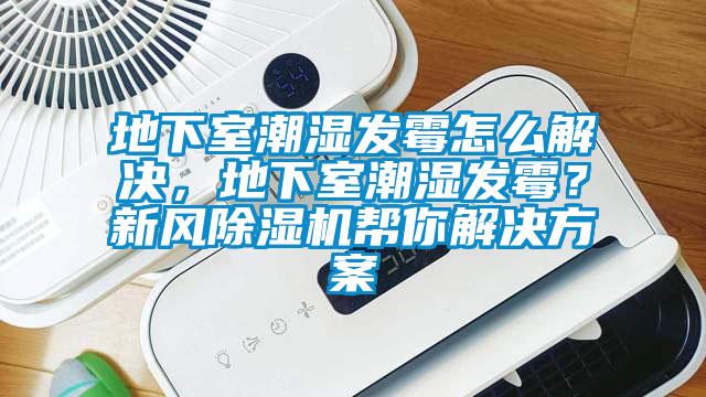 地下室潮濕發霉怎么解決，地下室潮濕發霉？新風除濕機幫你解決方案