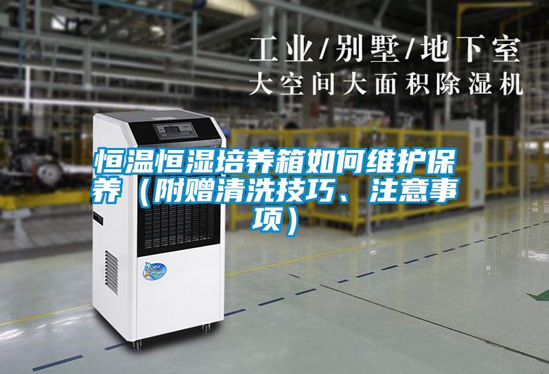 恒溫恒濕培養箱如何維護保養（附贈清洗技巧、注意事項）