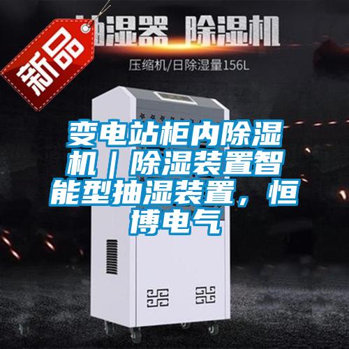 變電站柜內(nèi)除濕機｜除濕裝置智能型抽濕裝置，恒博電氣