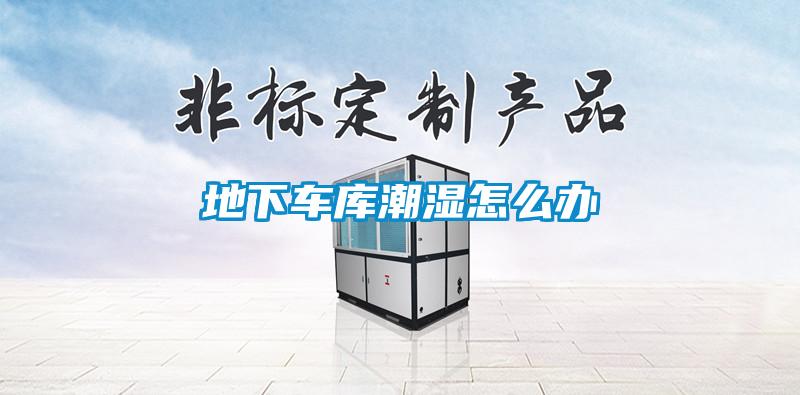 地下車(chē)庫(kù)潮濕怎么辦