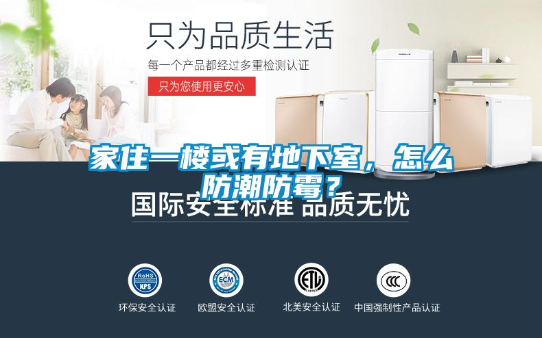 家住一樓或有地下室，怎么防潮防霉？