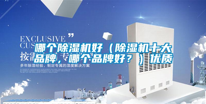 哪個除濕機好（除濕機十大品牌，哪個品牌好？）優質