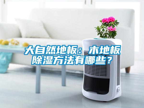 大自然地板：木地板除濕方法有哪些？