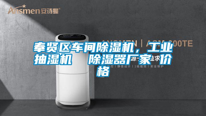 奉賢區車間除濕機，工業抽濕機  除濕器廠家 價格
