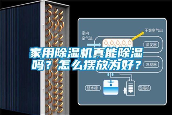 家用除濕機真能除濕嗎？怎么擺放為好？