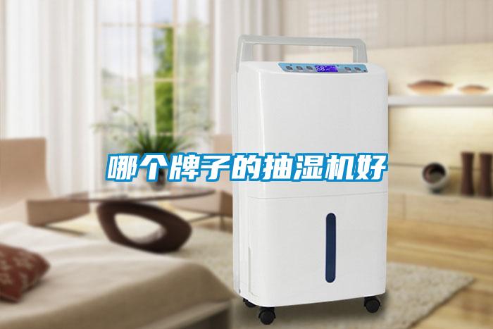 哪個(gè)牌子的抽濕機(jī)好