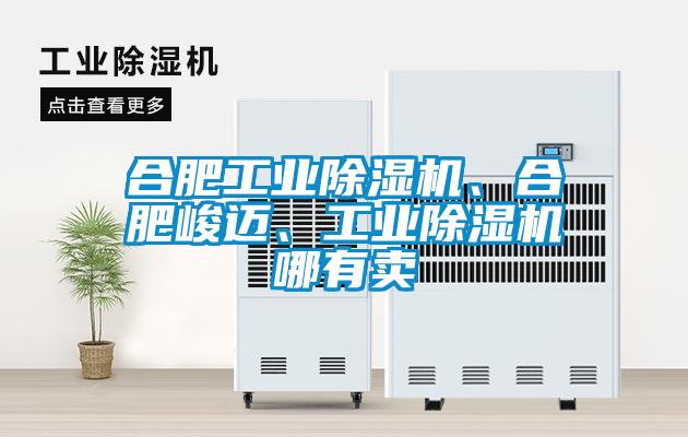 合肥工業(yè)除濕機(jī)、合肥峻邁、工業(yè)除濕機(jī)哪有賣