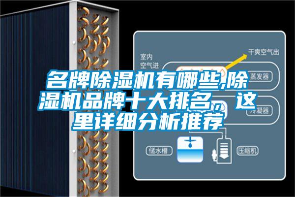 名牌除濕機有哪些,除濕機品牌十大排名，這里詳細分析推薦