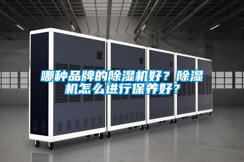 哪種品牌的除濕機好？除濕機怎么進行保養(yǎng)好？