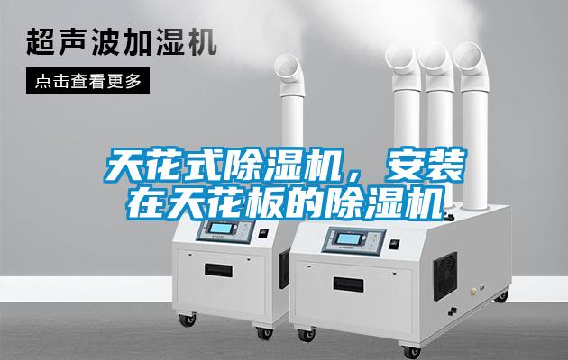 天花式除濕機，安裝在天花板的除濕機