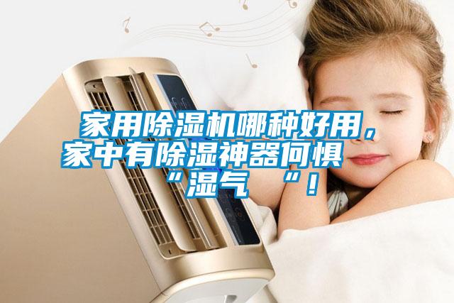 家用除濕機哪種好用，家中有除濕神器何懼 “濕氣 “！