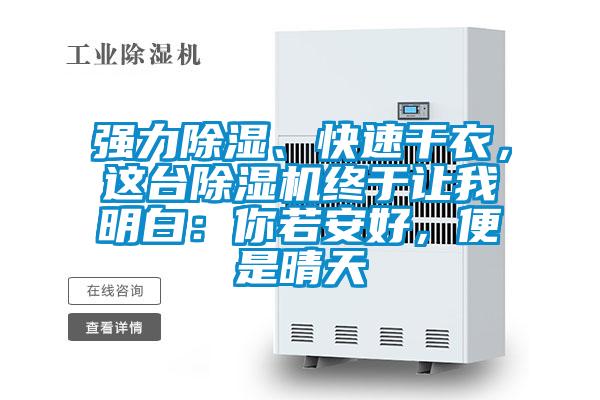 強力除濕、快速干衣，這臺除濕機終于讓我明白：你若安好，便是晴天