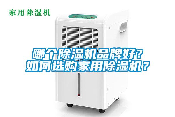 哪個除濕機品牌好？如何選購家用除濕機？