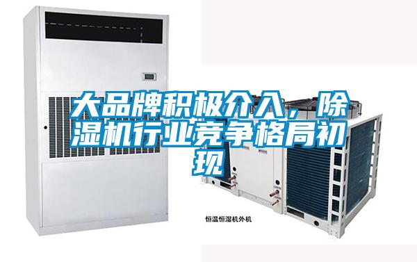大品牌積極介入，除濕機(jī)行業(yè)競爭格局初現(xiàn)